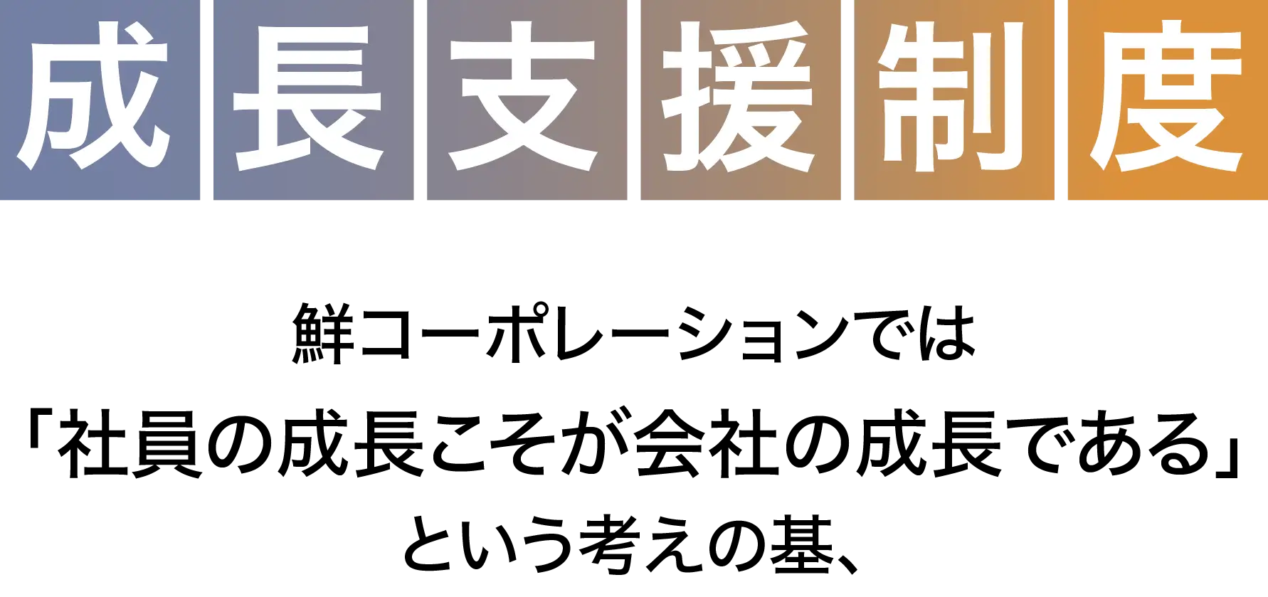 成長支援制度 鮮コーポレーションでは「社員の成長こそが会社の成長である」という考えの基、